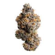 Gelato 33