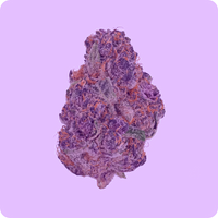 Vapes - Indica