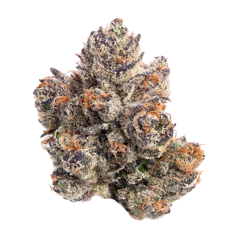 Lemon Cherry Gelato
